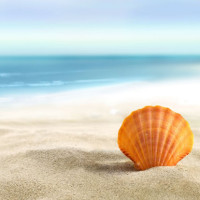 装载机操作视频教学,新型改装小型装载机视频