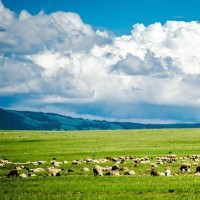 微信这个小程序太好用了,一键将文字的图片转