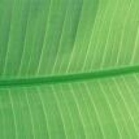 我只听说个人solo,母胎单身是什么?