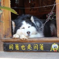 阳光帅气的白袜小帅哥,是你喜欢的类型吗?