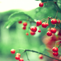 这才是真正的社会摇 两位老哥跳的真带劲