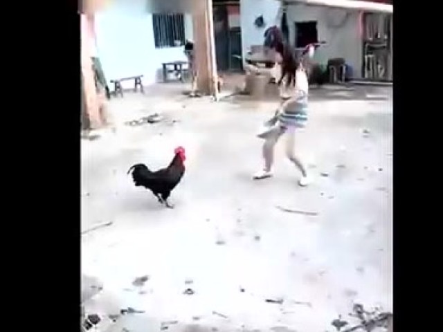 迷失森林 2探险 野人洞