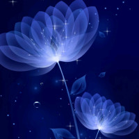 1.65米漂亮女孩竟嫁给90厘米袖珍男,女孩惊艳