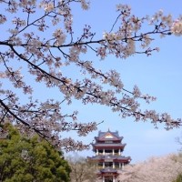 何谓表演之美?周迅:做演员该做的事,宋佳:演戏