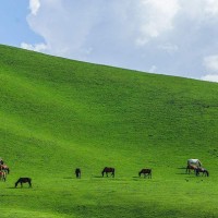 国剧盛典颁奖礼上赵丽颖穿的太美了,王思聪都