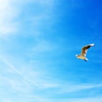 绝地求生,刺激战场;冷兵器自带上帝视角。能透