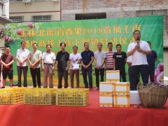 柳州银行,当好企业贴心人