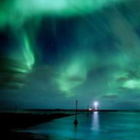 宇文护临死都想着跟般若摘梅花,真是用情至深