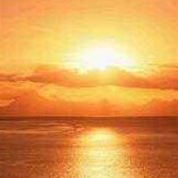 oppo手机信号满格网速却很慢,原来是这个设置