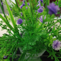 欢乐喜剧人,爆笑小品宋晓峰来参加相亲节目,让