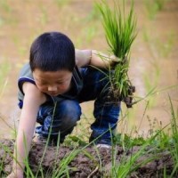 好消息!农村未来5年发展新方向,农民的好日子