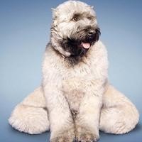 潘玮柏更新INS想回巴厘岛, 是要结婚的节奏吗