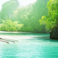 节目中,杨紫和张一山成语接龙,那简直就是互相