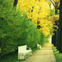 儿子死后父亲哭的太假,连元芳都看出来破绽了