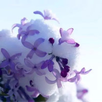 超级小熊布迷:爱运动的小伙伴马克意外受伤