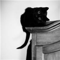 杨紫唱《好汉歌》太嗨了, 张一山的画风好逗! 