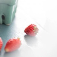 江艺术团飞翔民族乐团民乐合奏《春江花月夜》