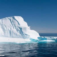 郑恺问易烊千玺-猫王的舞步你会不会易烊千