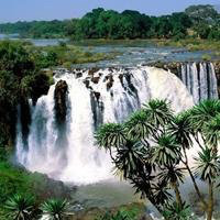 实况足球预测意甲 切沃VS尤文图斯