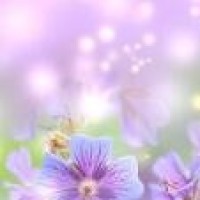 女性怀孕后基础体温会升高多少听听医生怎么说