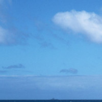 屎壳郎是怎么将便便带回家的科学家用镜头记录