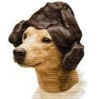 感人瞬间-宝宝伸手摸金毛的舌头,金毛的反应,让