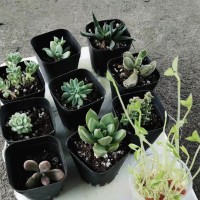 国行三星W2018手机无愧于万元机的价格