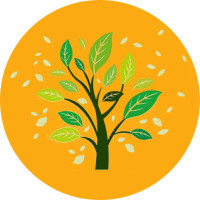 山东英才学院学前教育学院2017年鸡年元旦晚