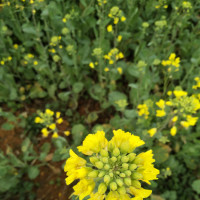 这种女人简直是泼妇,在家家暴丈夫上台撒泼大