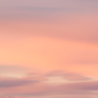 我家有喜全家陪着四妹去打胎,打开大门后居然