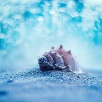 国家田径一级运动员,100米短跑这差距太大了