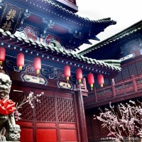 大侄子你太棒了羌沐阳倍速震感舞酷到没朋友