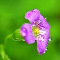 开网店需要多少钱,在淘宝上开个网店需要哪些