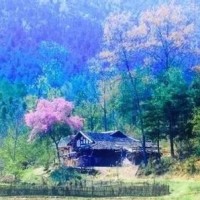 许华升搞笑段子搞笑视频集合两老表捡垃圾来喝