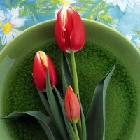 唐唐说电影: 最神秘的辣妈 美国超级猛片