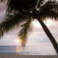 婚变11天吴建豪抱娃露面 变身奶爸父爱满满