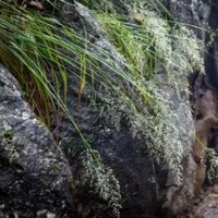 火柴人兄弟大战《我的世界》大BOSS, 解救被