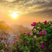 迷你世界:穷人和富人的爱情故事,富人不诚实最