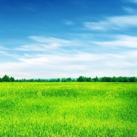 少儿益智玩具,奥特曼贝利亚买蜡笔小新饮料