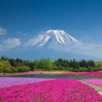 搞笑版《卡路里》合集,火箭少女原版的最好补