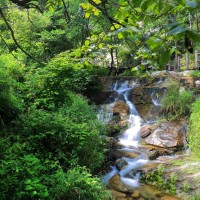 益智色彩英语早教,五颜六色的数字模块依次安