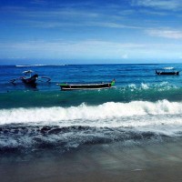 益智英语色彩早教,老鼠偷吃饼干自己变颜色了