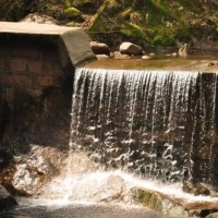 波妞看牙医大哭!咘咘暖心安慰波妞,网友:咘咘真