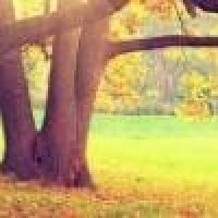 2018最新抗日战争电影,全程高能火爆震撼,绝非