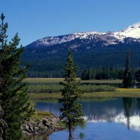 《向往的生活》徐峥导演讲笑话,黄磊:不鸣则已