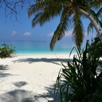 日本花魁游街表演