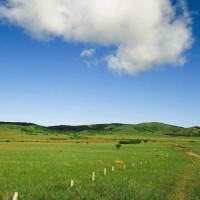 熊出没:赵琳的脚好了又能愉快的玩耍了,熊大将