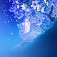 当steam上的恐怖游戏《森林》多人联机后,就变