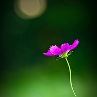 搞笑翻拍延禧攻略裕太妃被雷劈,玉米都雷劈成