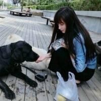 黑鲨手机评测:为游戏而生的性能怪兽,隐藏功能